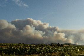 Forest Fire Burns 13000 Hectares - France