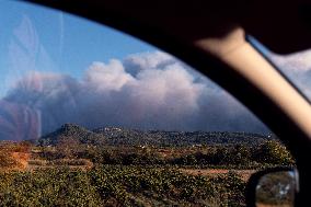 Forest Fire Burns 13000 Hectares - France