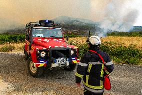 Forest Fire Burns 13000 Hectares - France