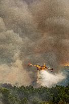 Forest Fire Burns 13000 Hectares - France