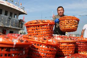 Zhoushan International Aquatic Swimming Crabs Harvest