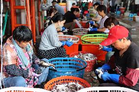 Zhoushan International Aquatic Swimming Crabs Harvest
