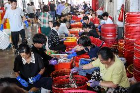 Zhoushan International Aquatic Swimming Crabs Harvest