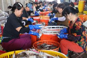 Zhoushan International Aquatic Swimming Crabs Harvest