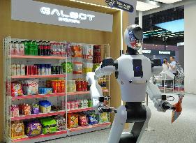 2025 World Robot Conference Held in Beijing