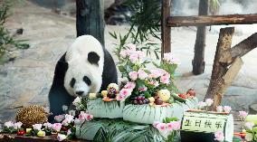 Giant Panda Birthday