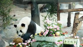 Giant Panda Birthday