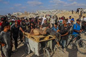Palestinians Shot Near Zikim Crossing as Famine Worsens - Palestine