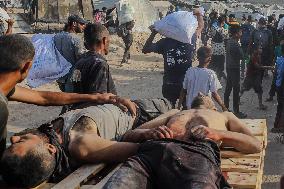 Palestinians Shot Near Zikim Crossing as Famine Worsens - Palestine