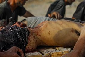 Palestinians Shot Near Zikim Crossing as Famine Worsens - Palestine