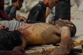 Palestinians Shot Near Zikim Crossing as Famine Worsens - Palestine