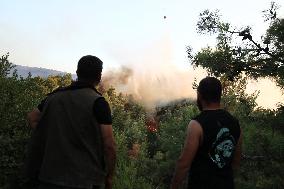 Wildfires in Canakkale - Turkey