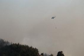 Wildfires in Canakkale - Turkey