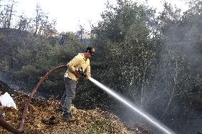 Wildfires in Canakkale - Turkey