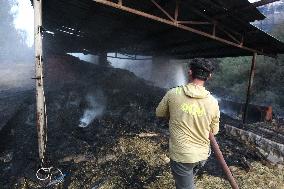 Wildfires in Canakkale - Turkey