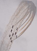 Abbotsford Int Airshow - Canada