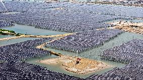 Photovoltaic And Energy Storage In Dongying City - China