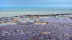 Photovoltaic And Energy Storage In Dongying City - China