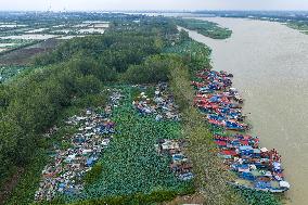 Abandoned Fishing Boats Ecological Protection