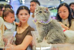 Nanning Pet Expo