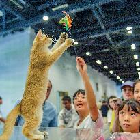 Nanning Pet Expo