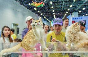 Nanning Pet Expo