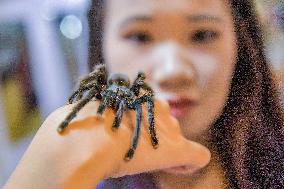 Nanning Pet Expo
