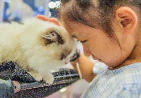 Nanning Pet Expo