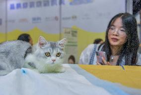 Nanning Pet Expo