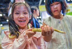 Nanning Pet Expo