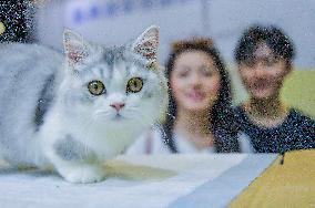 Nanning Pet Expo