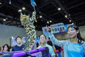 Nanning Pet Expo