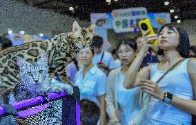 Nanning Pet Expo