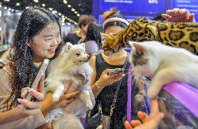 Nanning Pet Expo
