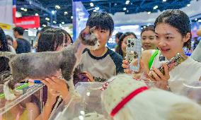 Nanning Pet Expo