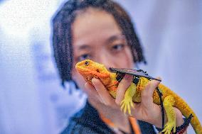 Nanning Pet Expo
