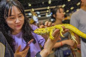 Nanning Pet Expo