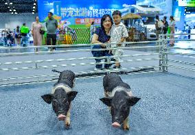 Nanning Pet Expo