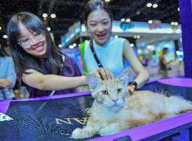 Nanning Pet Expo
