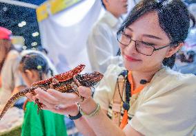 Nanning Pet Expo