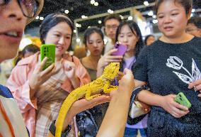 Nanning Pet Expo