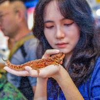 Nanning Pet Expo