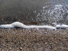 Cyanobacteria Suspected At The Lac de Pareloup - Aveyron