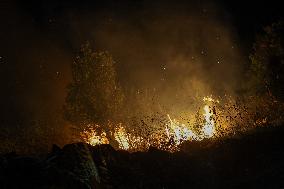 Wildfires in Canakkale - Turkey