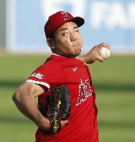 Baseball: Angels vs. Tigers