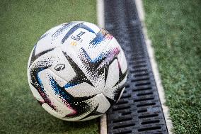 Illustration Ligue 1 Football Ball - Nantes