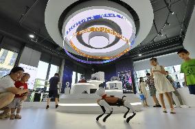 Robot Mall in Beijing