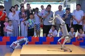 Robot Mall in Beijing