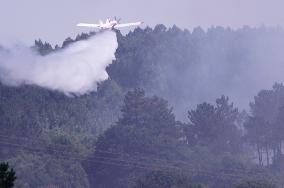 Forest Fire In The Parish Of Baamonde - Spain