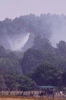 Forest Fire In The Parish Of Baamonde - Spain